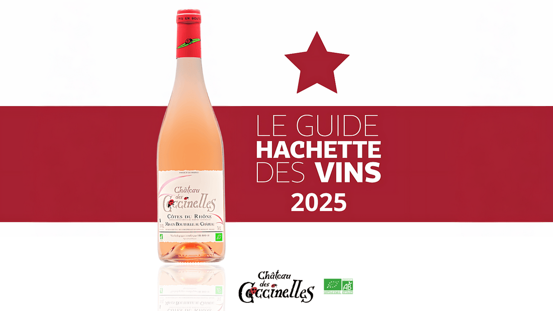 Guide HACHETTE 2025 Vin Rosé 