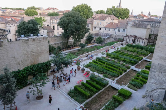 Un Verre au Jardin aux jardins du Palais des Papes à Avignon - Château des Coccinelles