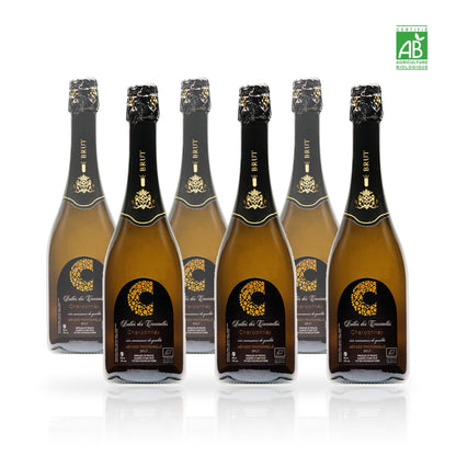 Six bouteilles de Bulles des Coccinelles Chardonnay méthode traditionnelle biologique 75 cl
