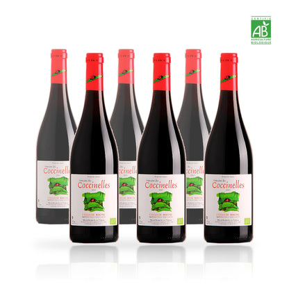 Six bouteilles de Domaine des Coccinelles Côtes du Rhône biologique 75 cl