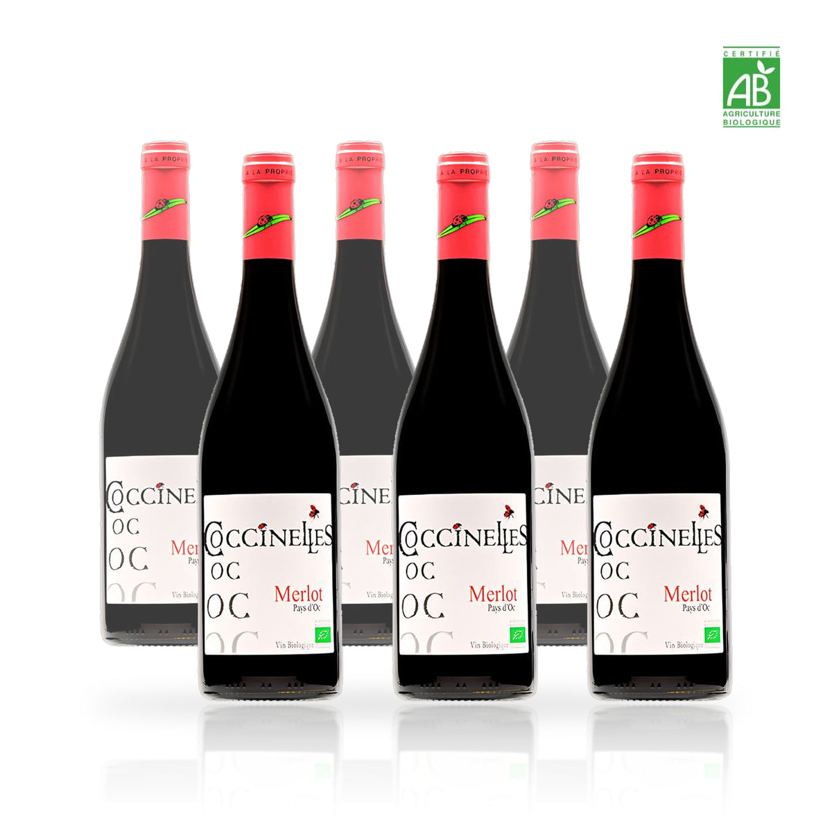 Six bouteilles de Coccinelles Merlot IGP Pays d'Oc biologique 75 cl