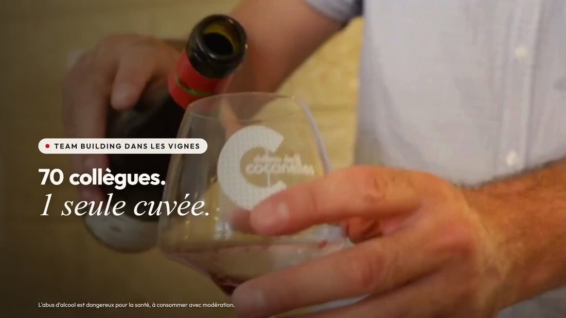 Journée d'entreprise au Château des Coccinelles : arrivée au domaine, visite du chai avec un groupe et ateliers à Domazan, dans le Gard